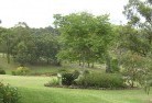 Kialla Eastresidential-landscaping-40.jpg; ?>